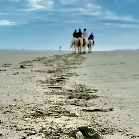 Du Sable Dans Les Chaussures Dunkirk